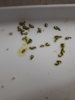20170113_160956.jpg