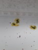 20170116_141328.jpg