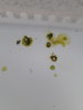 20170116_141350.jpg