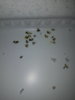 20170118_075328.jpg