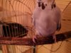 IMG_20170118_081958.jpg