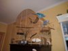 IMG_20170114_143122.jpg