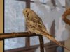 IMG_20170114_115559.jpg