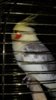 20170125_095340.jpg