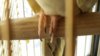 20170125_145226.jpg