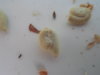 DSCN9365.JPG