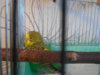 DSCN9261.JPG