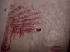 20170128_141124.jpg