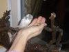 PC120077.JPG