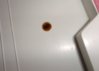 DSC03493.JPG