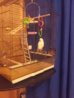 IMG_20131207_232110.jpg