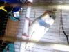 DSC03314.JPG