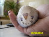 view2.pic.jpeg