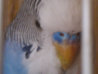 IMAG0213.jpg