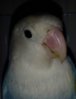 cNCU3dPYy-E.jpg