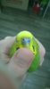 WP_20170201_011.jpg