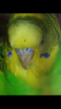 IMG_5493.PNG