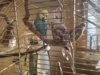 IMG_20170207_160111.jpg
