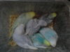 20170209_154545.jpg