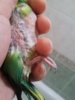 20170211_233445.jpg