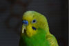 DSC_0042.JPG