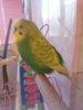 20170228_075051.jpg
