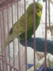 20170228_072028.jpg