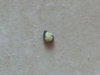 20170228_085733.jpg
