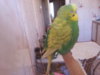 20170228_085239.jpg
