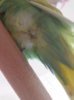 20170228_085039.jpg