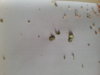 20170227_153834.jpg