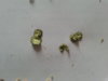20170227_153856.jpg