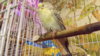 DSCF3089.JPG