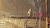 DSCF3134.JPG