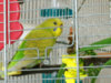 100_1113.JPG