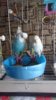 IMG-20170102-WA0002.jpg