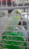 20170315_163838.jpg