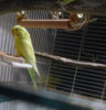 20170316_173815-1.jpg