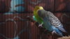 DSC05951.JPG