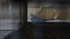 DSC05958.JPG