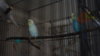 DSC05960.JPG