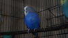 DSC05962.JPG
