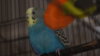 DSC05966.JPG