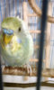 20170321_101852.jpg