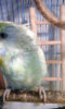 20170321_101856.jpg