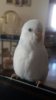 IMG-20170328-WA0020.jpg