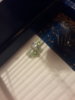 20170328_225938.jpg