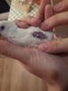 IMG-20170329-WA0010.jpg