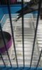 20170409_213208.jpg