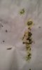 20170409_214645.jpg